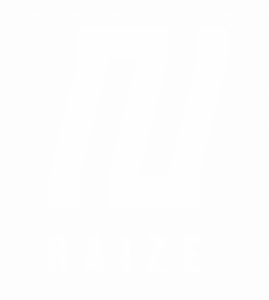 RAIZE